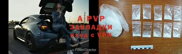 СК Алексин
