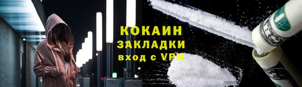 стаф Алзамай