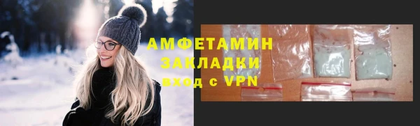 стаф Алзамай
