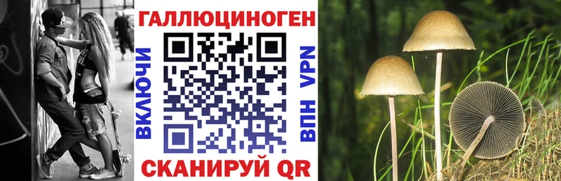 закладка Краснознаменск Галлюциногенные грибы мухоморы